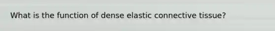 What is the function of dense elastic connective tissue?