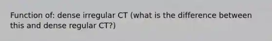 Function of: dense irregular CT (what is the difference between this and dense regular CT?)