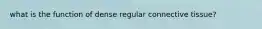 what is the function of dense regular connective tissue?