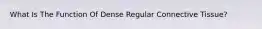What Is The Function Of Dense Regular Connective Tissue?
