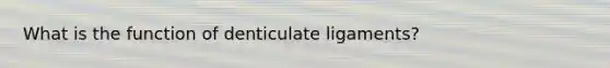 What is the function of denticulate ligaments?