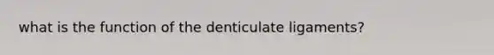 what is the function of the denticulate ligaments?