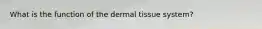 What is the function of the dermal tissue system?