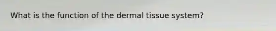 What is the function of the <a href='https://www.questionai.com/knowledge/kRKdINDJId-dermal-tissue' class='anchor-knowledge'>dermal tissue</a> system?