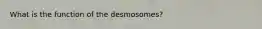 What is the function of the desmosomes?