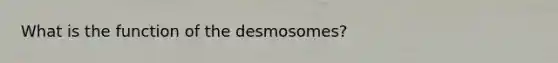 What is the function of the desmosomes?