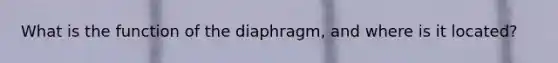 What is the function of the diaphragm, and where is it located?