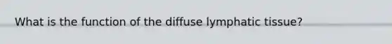 What is the function of the diffuse lymphatic tissue?