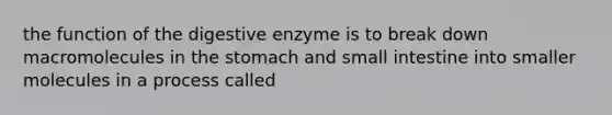 the function of the digestive enzyme is to break down macromolecules in the stomach and small intestine into smaller molecules in a process called