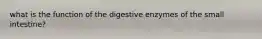 what is the function of the digestive enzymes of the small intestine?