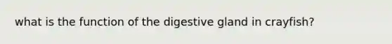 what is the function of the digestive gland in crayfish?