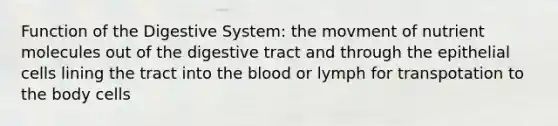 Function of the Digestive System: the movment of nutrient molecules out of the digestive tract and through the epithelial cells lining the tract into the blood or lymph for transpotation to the body cells