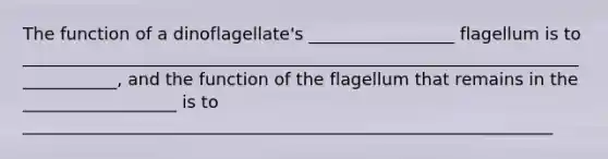 The function of a dinoflagellate's _________________ flagellum is to ____________________________________________________________________________, and the function of the flagellum that remains in the __________________ is to ______________________________________________________________