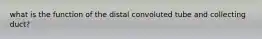 what is the function of the distal convoluted tube and collecting duct?