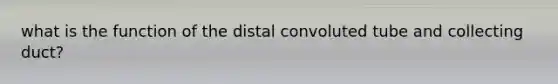 what is the function of the distal convoluted tube and collecting duct?