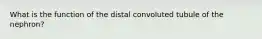 What is the function of the distal convoluted tubule of the nephron?