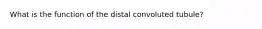 What is the function of the distal convoluted tubule?