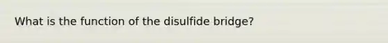 What is the function of the disulfide bridge?