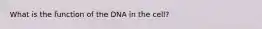 What is the function of the DNA in the cell?