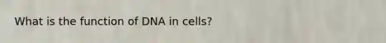 What is the function of DNA in cells?