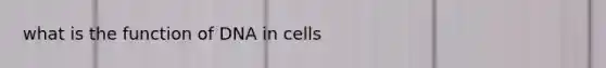 what is the function of DNA in cells