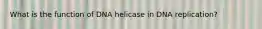 What is the function of DNA helicase in DNA replication?