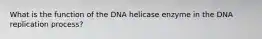 What is the function of the DNA helicase enzyme in the DNA replication process?