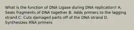 What is the function of DNA Ligase during DNA replication? A. Seals fragments of DNA together B. Adds primers to the lagging strand C. Cuts damaged parts off of the DNA strand D. Synthesizes RNA primers