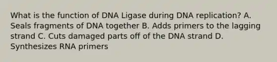 What is the function of DNA Ligase during DNA replication? A. Seals fragments of DNA together B. Adds primers to the lagging strand C. Cuts damaged parts off of the DNA strand D. Synthesizes RNA primers