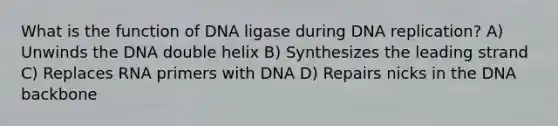 What is the function of DNA ligase during DNA replication? A) Unwinds the DNA double helix B) Synthesizes the leading strand C) Replaces RNA primers with DNA D) Repairs nicks in the DNA backbone