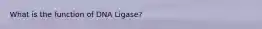 What is the function of DNA Ligase?