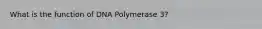 What is the function of DNA Polymerase 3?