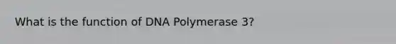 What is the function of DNA Polymerase 3?