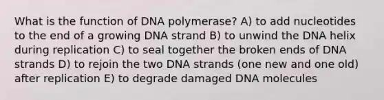 What is the function of DNA polymerase? A) to add nucleotides to the end of a growing DNA strand B) to unwind the DNA helix during replication C) to seal together the broken ends of DNA strands D) to rejoin the two DNA strands (one new and one old) after replication E) to degrade damaged DNA molecules