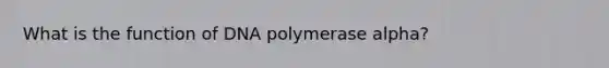 What is the function of DNA polymerase alpha?