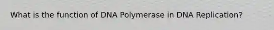 What is the function of DNA Polymerase in DNA Replication?