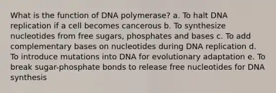 What is the function of DNA polymerase? a. To halt DNA replication if a cell becomes cancerous b. To synthesize nucleotides from free sugars, phosphates and bases c. To add complementary bases on nucleotides during DNA replication d. To introduce mutations into DNA for evolutionary adaptation e. To break sugar-phosphate bonds to release free nucleotides for DNA synthesis