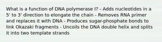 What is a function of DNA polymerase I? - Adds nucleotides in a 5' to 3' direction to elongate the chain - Removes RNA primer and replaces it with DNA - Produces sugar-phosphate bonds to link Okazaki fragments - Uncoils the DNA double helix and splits it into two template strands