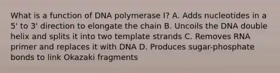 What is a function of DNA polymerase I? A. Adds nucleotides in a 5' to 3' direction to elongate the chain B. Uncoils the DNA double helix and splits it into two template strands C. Removes RNA primer and replaces it with DNA D. Produces sugar-phosphate bonds to link Okazaki fragments