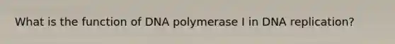 What is the function of DNA polymerase I in DNA replication?