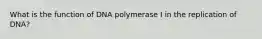 What is the function of DNA polymerase I in the replication of DNA?