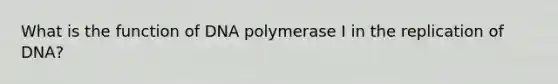 What is the function of DNA polymerase I in the replication of DNA?