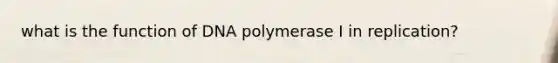 what is the function of DNA polymerase I in replication?