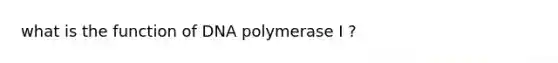 what is the function of DNA polymerase I ?