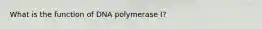 What is the function of DNA polymerase I?