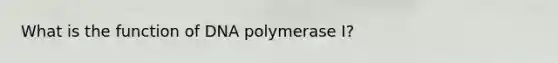 What is the function of DNA polymerase I?