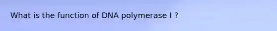 What is the function of DNA polymerase I ?