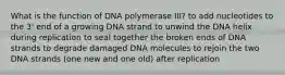 What is the function of DNA polymerase III? to add nucleotides to the 3' end of a growing DNA strand to unwind the DNA helix during replication to seal together the broken ends of DNA strands to degrade damaged DNA molecules to rejoin the two DNA strands (one new and one old) after replication