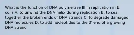 What is the function of DNA polymerase III in replication in E. coli? A. to unwind the DNA helix during replication B. to seal together the broken ends of DNA strands C. to degrade damaged DNA molecules D. to add nucleotides to the 3' end of a growing DNA strand