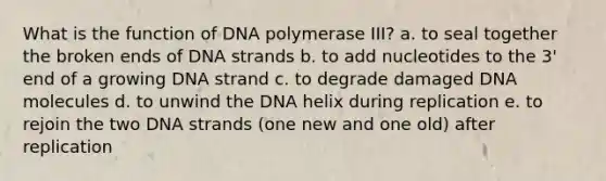 What is the function of DNA polymerase III? a. to seal together the broken ends of DNA strands b. to add nucleotides to the 3' end of a growing DNA strand c. to degrade damaged DNA molecules d. to unwind the DNA helix during replication e. to rejoin the two DNA strands (one new and one old) after replication